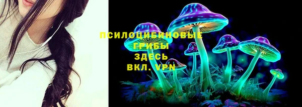 PSILOCYBIN Абинск