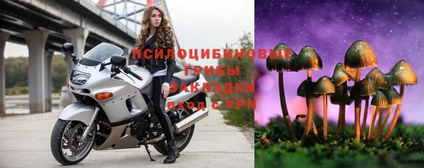 PSILOCYBIN Абинск