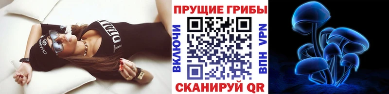 Псилоцибиновые грибы Magic Shrooms  Чулым 